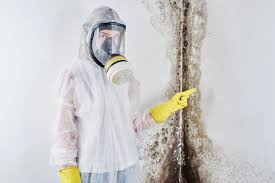 Best Mold Removal for HVAC Installations in Gladewater, TX